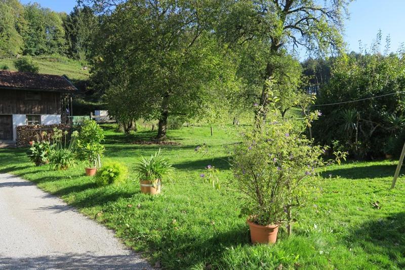 Ferienwohnung Leitner Kiefersfelden Exterior photo